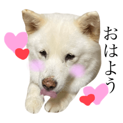 MILUdaa_20201001201251