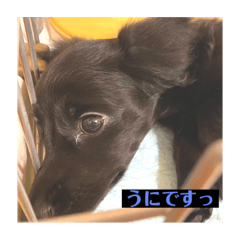 satoshi_20201001223152