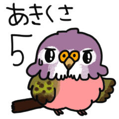 It is bird akikusa5.