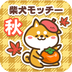 Shiba Mocchii in Autumn 2