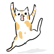 little cute cat