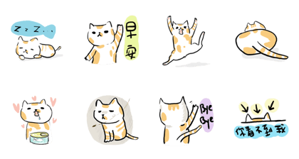 little cute cat
