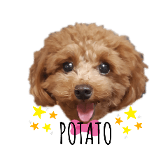 POTATO_20201002142609