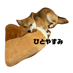 haruna_20201002143252