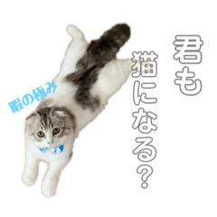 cocoa_20201002143450