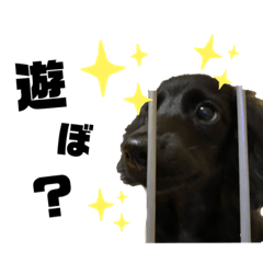 satoshi_20201002150118