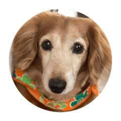 cocoa_20201002184714