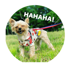 arisa_20201002224944