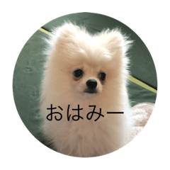 Rei_20201003093607