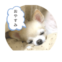 aoi_20201002204132
