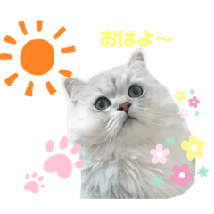 satomin_20201002192617