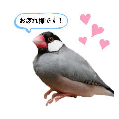 matsu_20201001220146