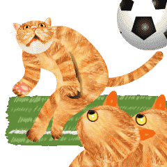 猫サッカー