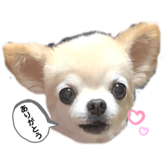 aoi_20201003011834