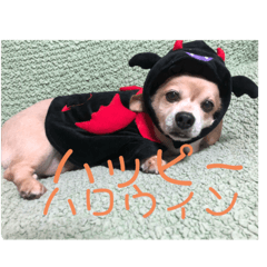 akiko_20201003002900