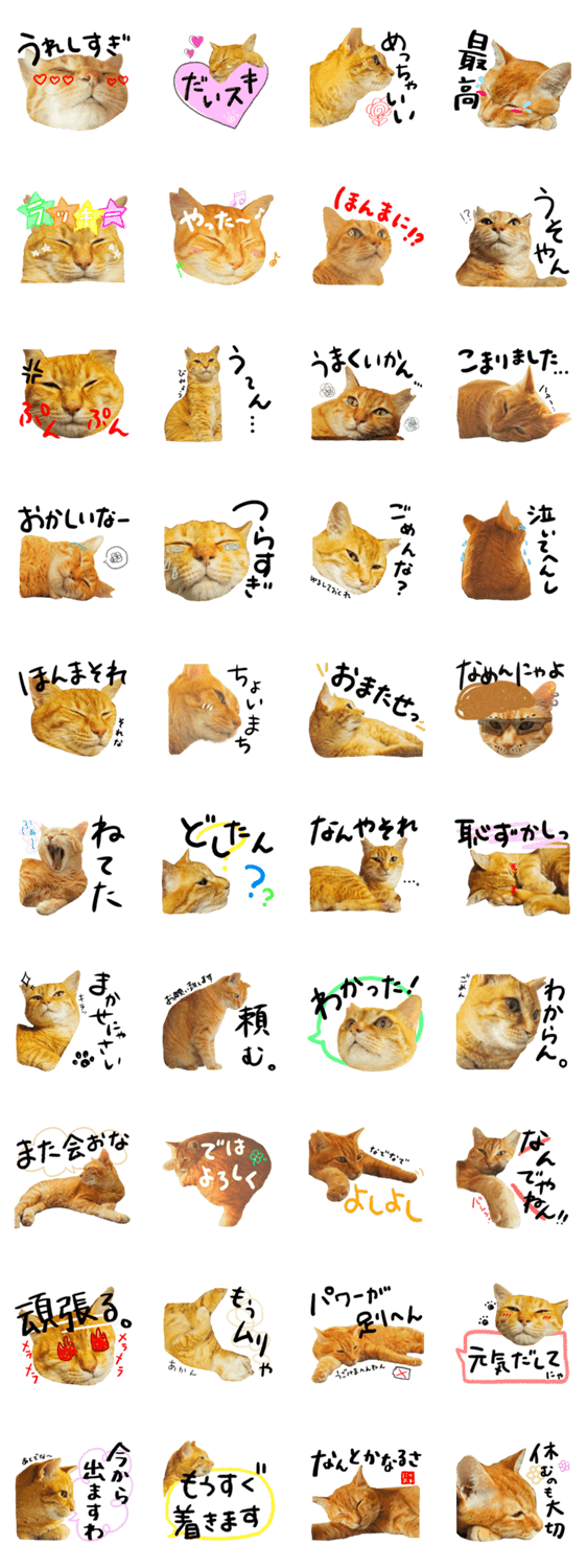 茶トラのひろちゃん 日常スタンプ 大阪弁 Lineクリエイターズスタンプ Stamplist