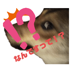 chiyo_20201002232810