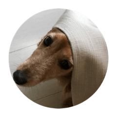 cocoa_20201003122609