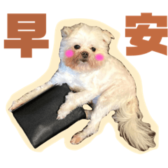 我們是可愛的寶貝