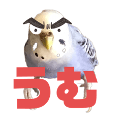 yuina_20201003121123