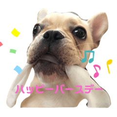 nanami_20201003133242