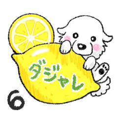 大きな白い犬 ピレネー犬 6【ダジャレ】