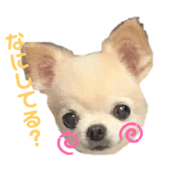 aoi_20201003164117