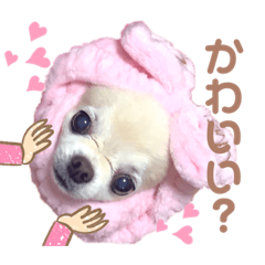 aoi_20201003174542