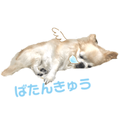aoi_20201003214910