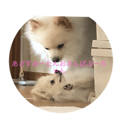 Rei_20201003235622