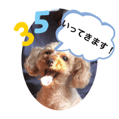 me_20201004093110 1004