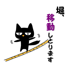 Black cat "Hori"
