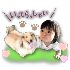 stamp yua dog