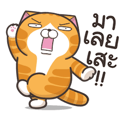 【泰文版】Lan Lan Cat: So Lively!