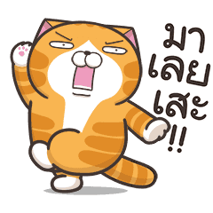 【泰文版】Lan Lan Cat: So Lively!