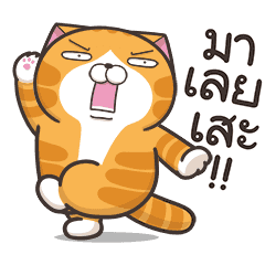 เหมียวซ่า : สดใส !