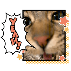 miki_20201003225855