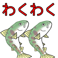 yamame fish