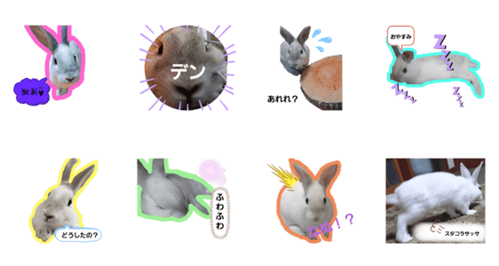 兎すぎるスタンプ Lineクリエイターズスタンプ Stamplist 兎すぎるスタンプ Lineクリエイターズスタンプ Stamplist