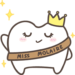 The cutie molar (English ver.)