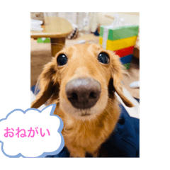 tori_20201004123844