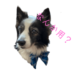 saya_20201004095555