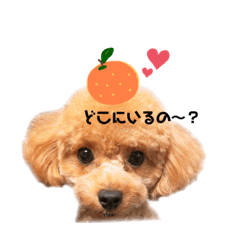 saori_20201004094906