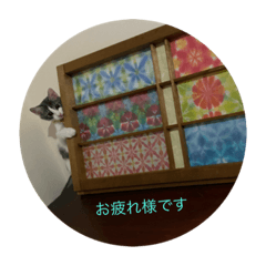 hana_20201003212054