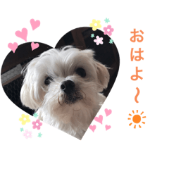 mizuki_20201004142746