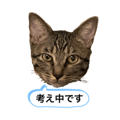 MITTAN_20201004132417