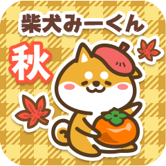 Shiba Miikun in Autumn 2