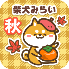 Shiba Mirai in Autumn 2