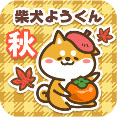 Shiba Youkun in Autumn 2