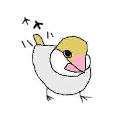 KOMU-chan,Java sparrow